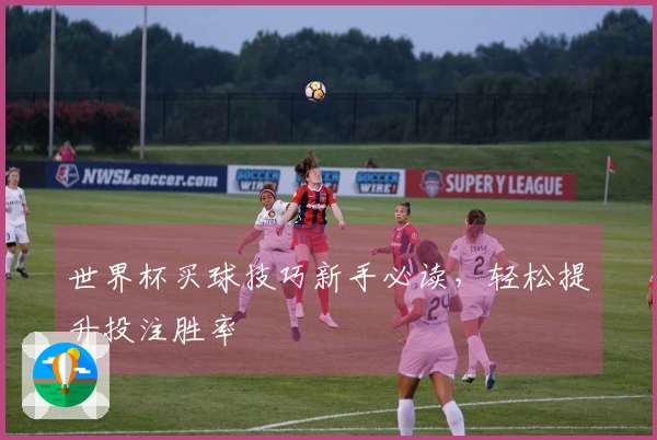 世界杯买球技巧新手必读，轻松提升投注胜率