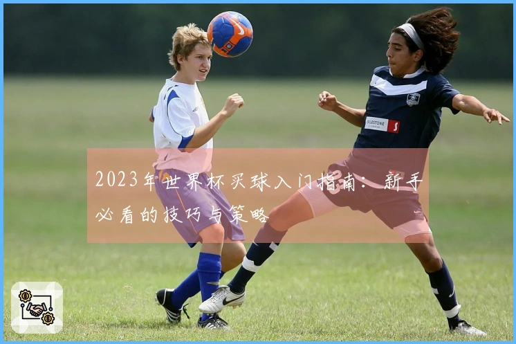 2023年世界杯买球入门指南：新手必看的技巧与策略