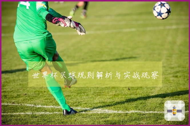 世界杯买球规则解析与实战观察