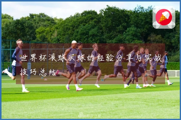 世界杯滚球买球的经验分享与实战技巧总结