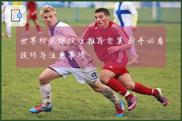 世界杯买球投注推荐合集 新手必看技巧与注意事项