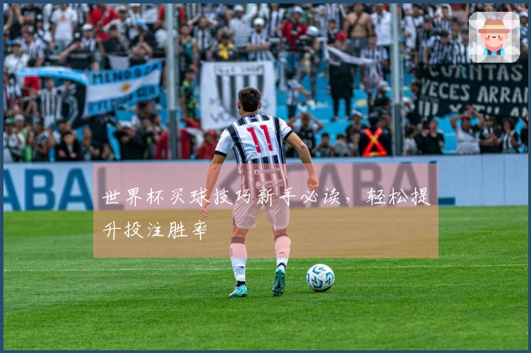 世界杯买球技巧新手必读，轻松提升投注胜率