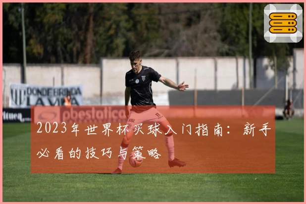 2023年世界杯买球入门指南：新手必看的技巧与策略