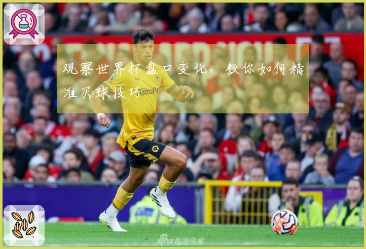 观察世界杯盘口变化，教你如何精准买球技巧