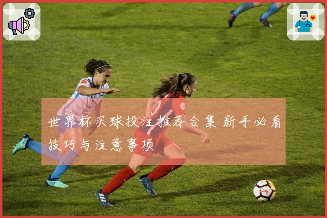 世界杯买球投注推荐合集 新手必看技巧与注意事项