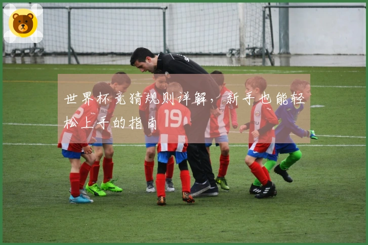 世界杯竞猜规则详解，新手也能轻松上手的指南