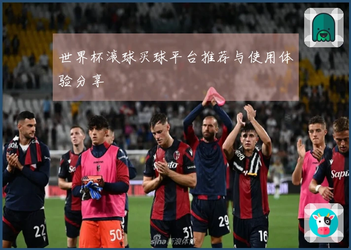 世界杯滚球买球平台推荐与使用体验分享