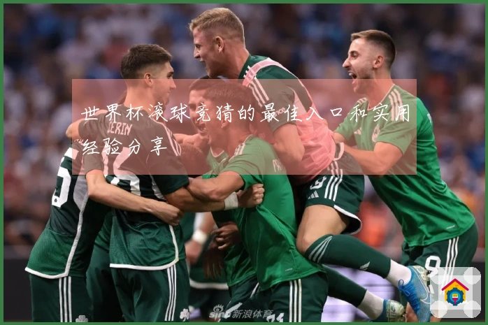 世界杯滚球竞猜的最佳入口和实用经验分享
