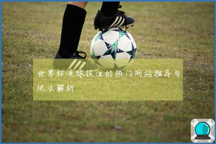 世界杯滚球投注的热门网站推荐与玩法解析