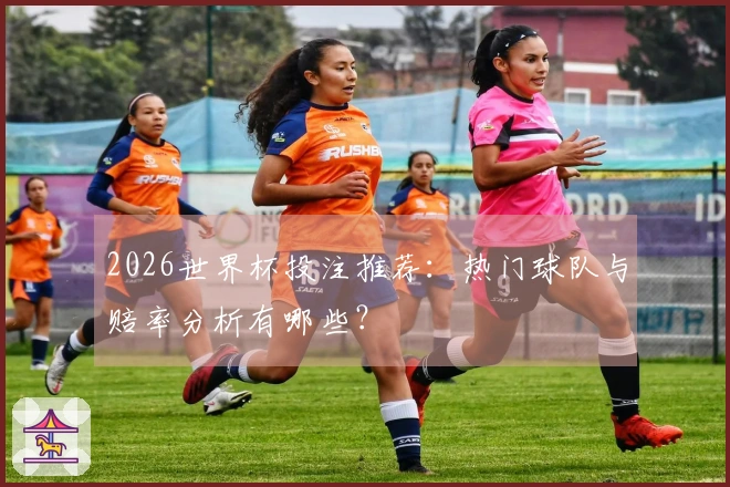 2026世界杯投注推荐：热门球队与赔率分析有哪些？